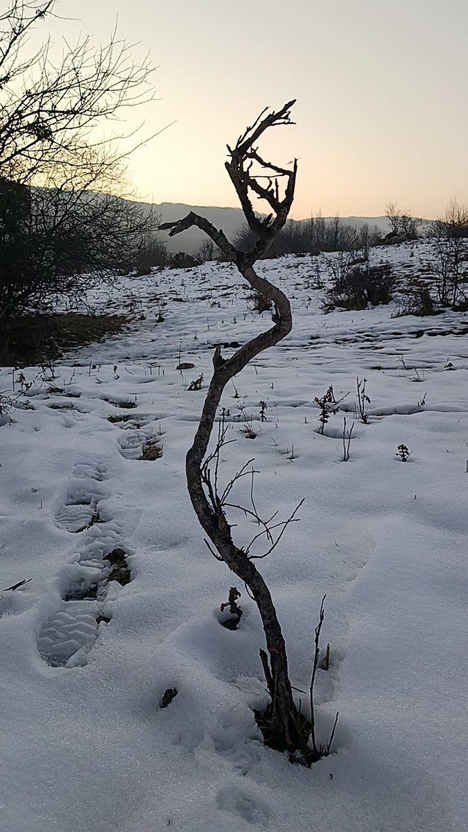 Урочище Дольменов, Кизинка