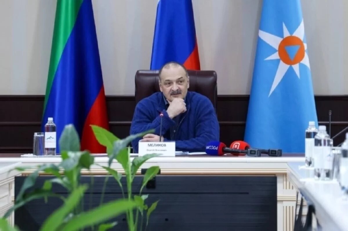    Сергей Меликов: власти восстановят Хрюгский лес после крупного пожара