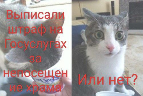 сделано Джоном Вудом (Женей)