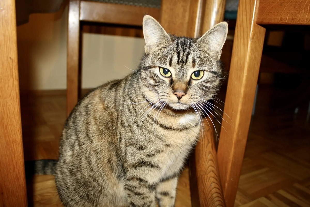 Фото из Интернета.