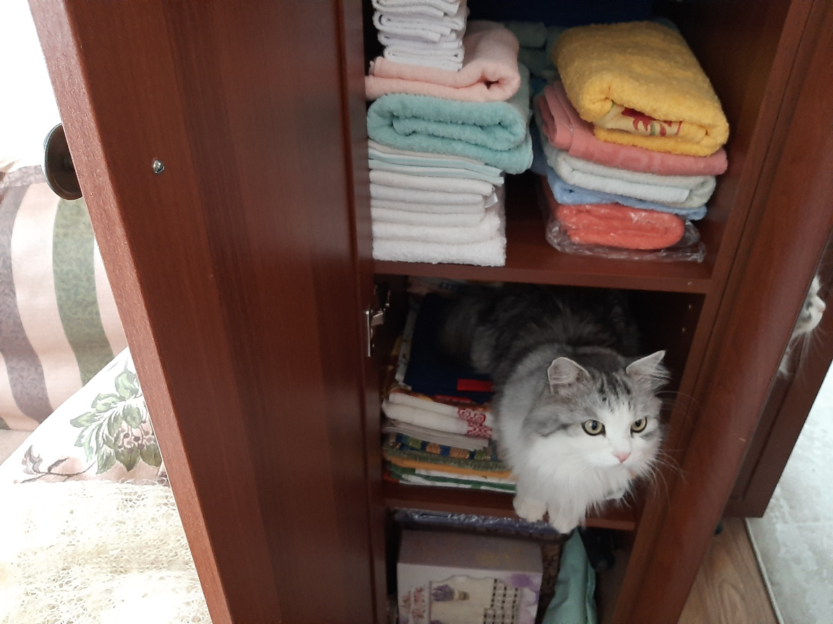 Кеша помогает во всём