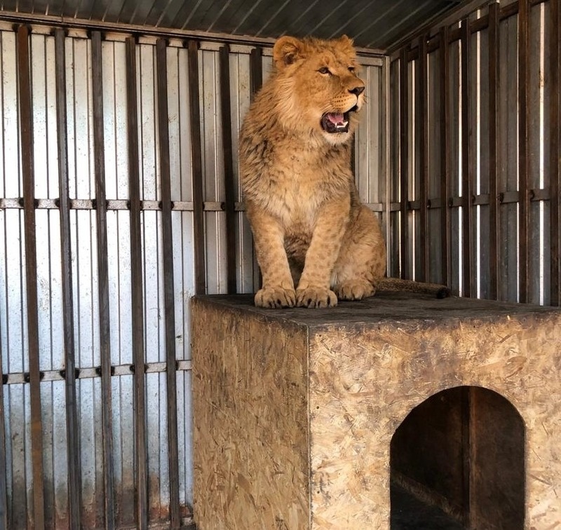      Фото: Северо-Кавказское управление Росприроднадзора