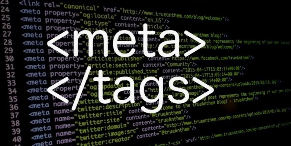 Meta property description. Meta property description