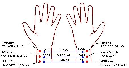 Точки пульсодиагностики