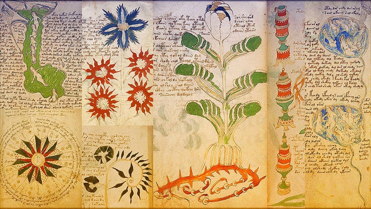 Страница манускрипта Войнича с рисунками растений и женщин в трубах