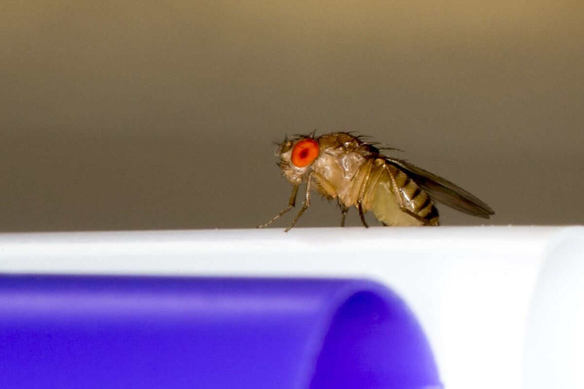     / Источник: © Global Look Press