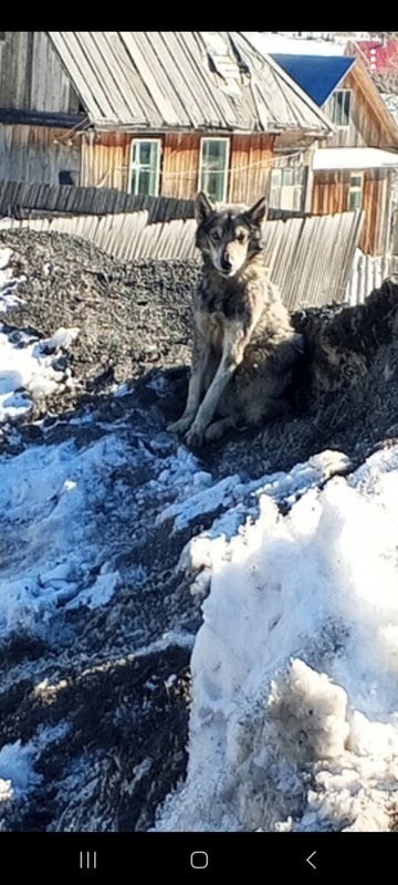 Фото мужчины из соцсетей ВКонтакте.