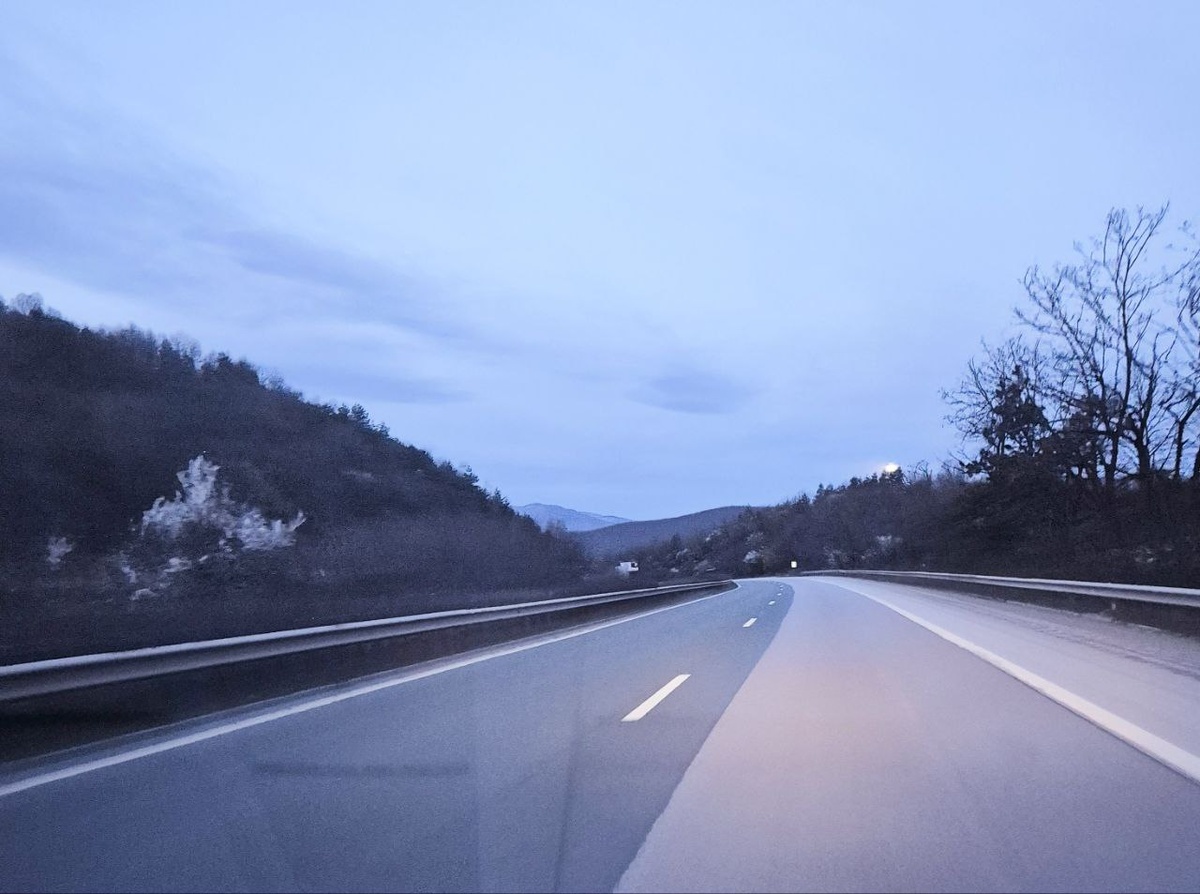 В утренних сумерках мы даже не сразу поняли, что это за белые пятна по бокам мелькают.