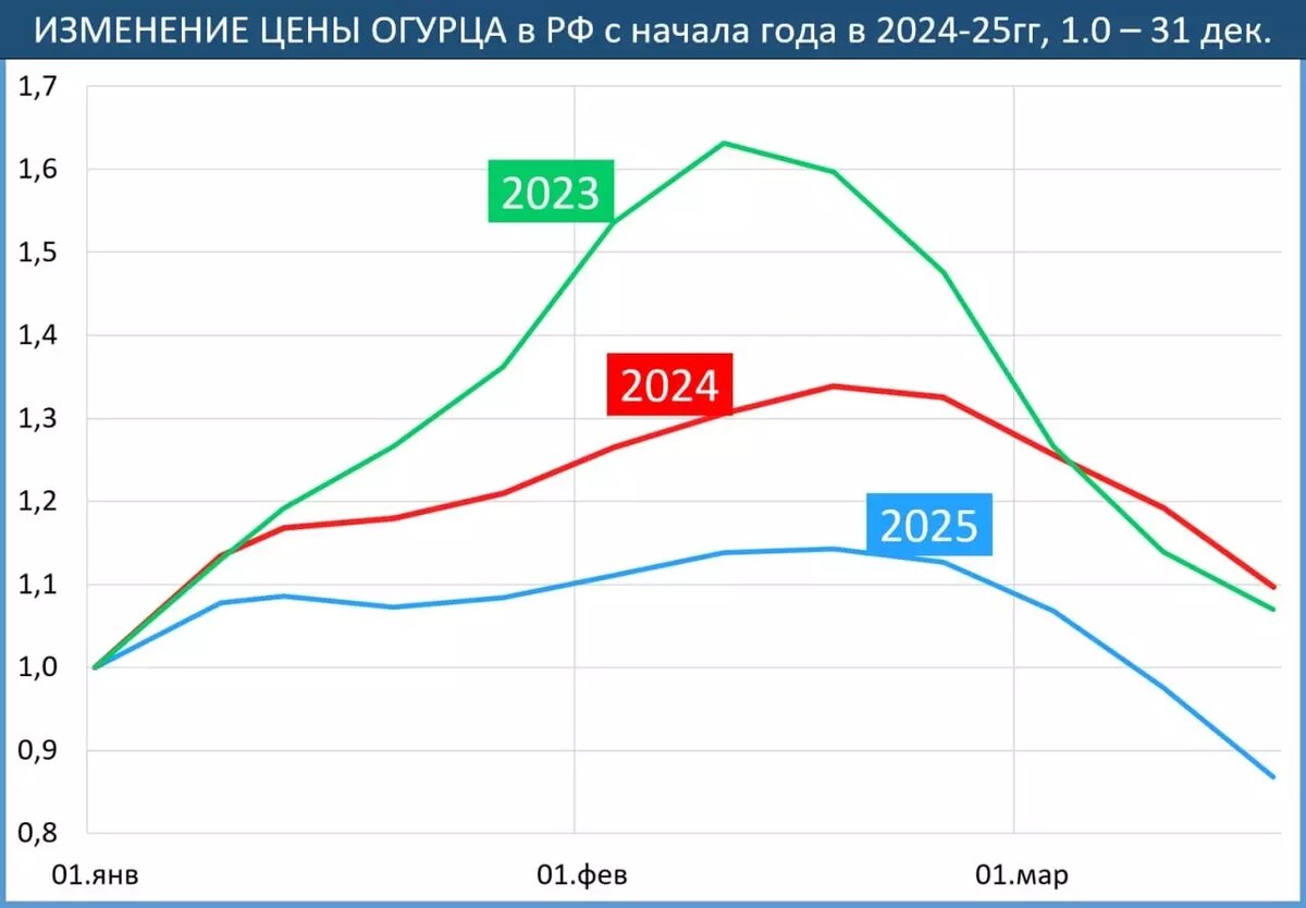 Огурец — молодец! Цены в 2023, 2024 и 2025 годах. Фото: MMI
