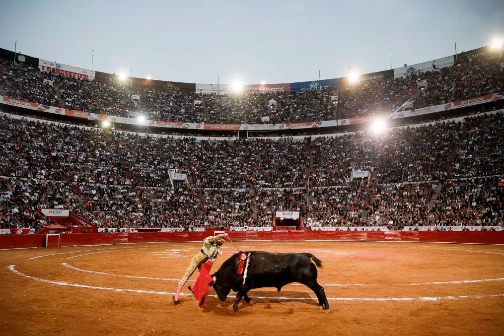 Фото: AFP
