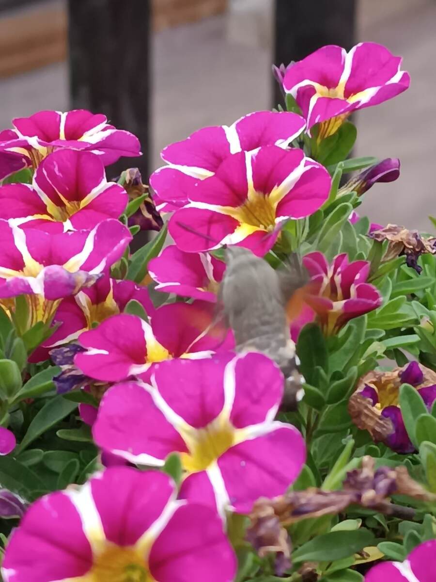 Медитирую и успокаиваюсь после собрания)).