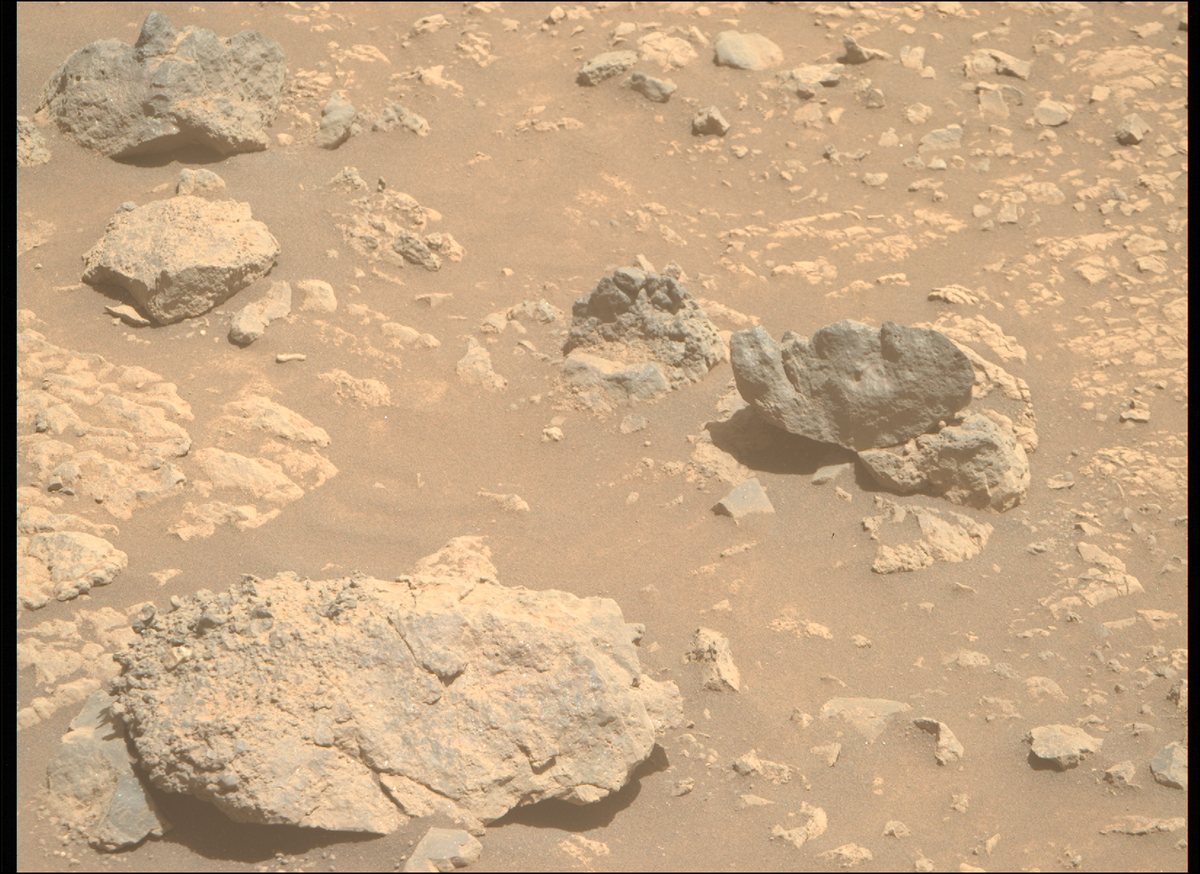 1450-01 правый