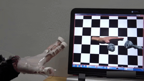 Прототипы выглядят всегда не очень, но главное то, что они показывают интересные результаты.