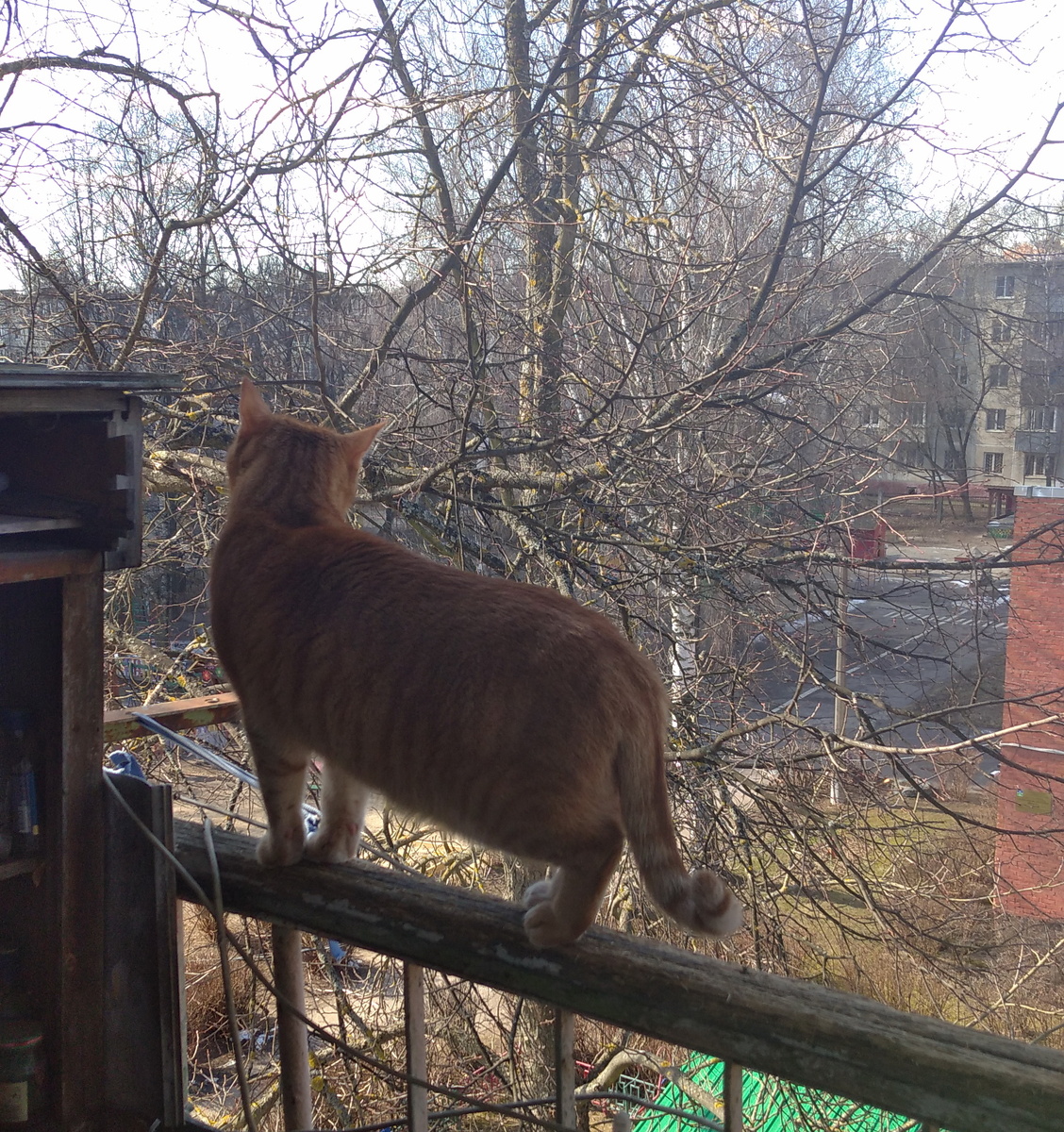 Личное  фото