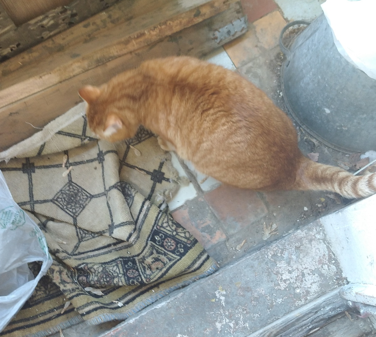 Личное  фото