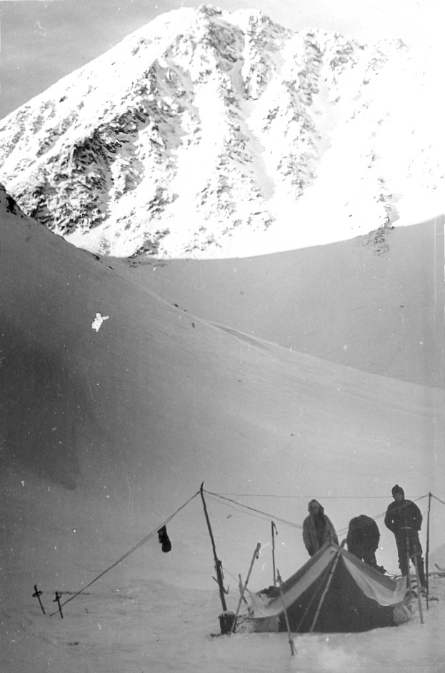 2. Из открытого доступа.