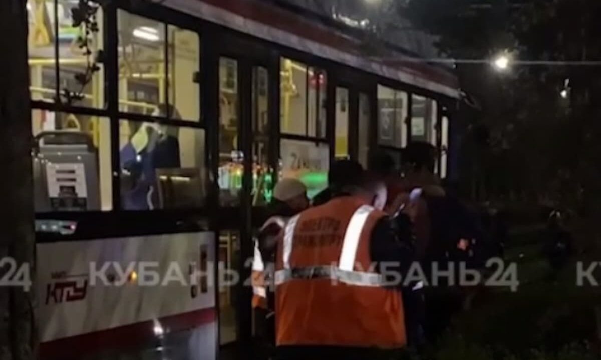    Фото t.me/kuban24