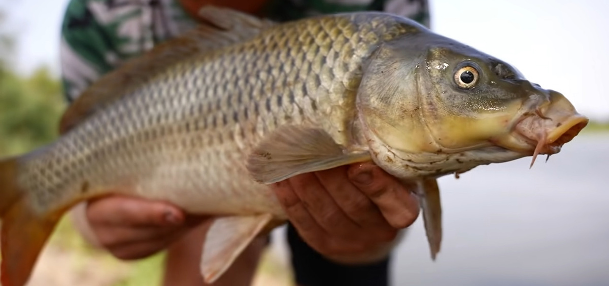 Мал да удал.