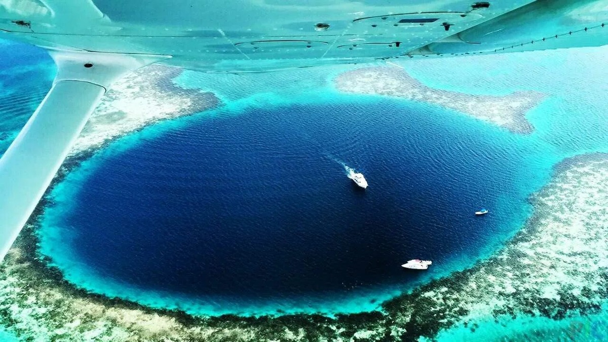 Изображение взято с сайта ru.wikipedia.org