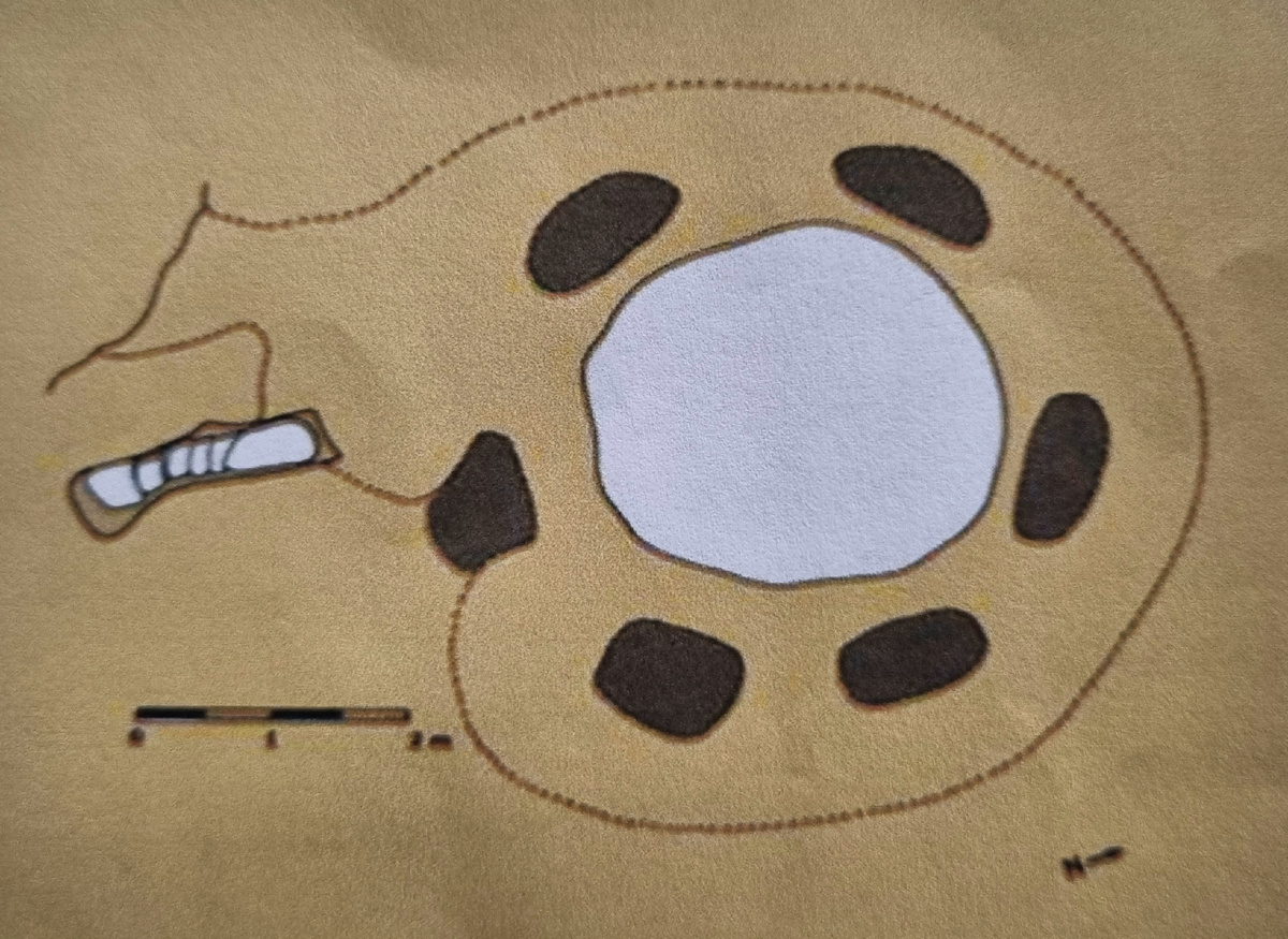 Схема голубятни, courtesy Randa Kakish