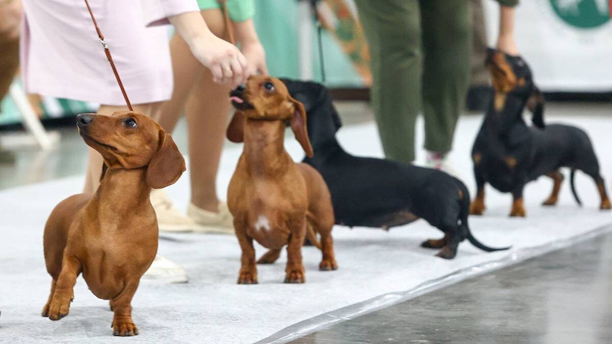    Фото: Ярослав Чингаев / АГН Москва