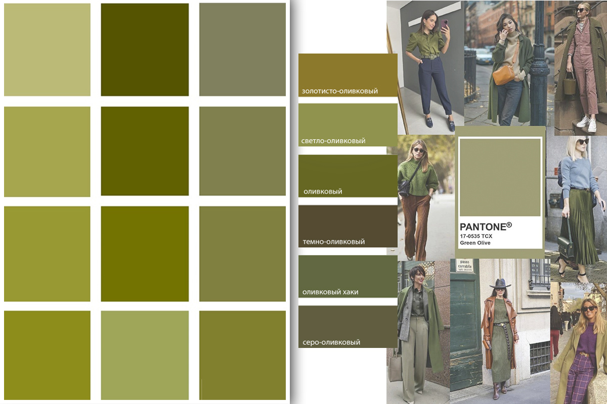 Оттенки оливкового