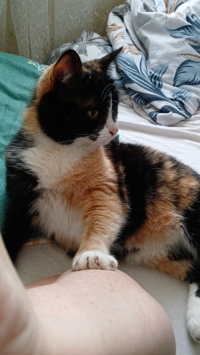 Фото автора.