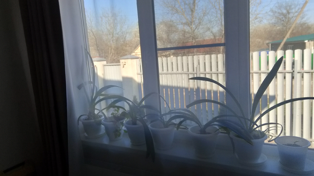 Фото личное