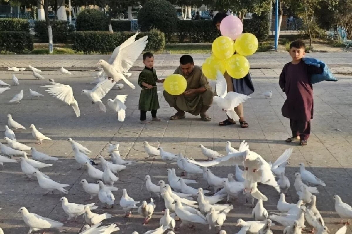    В Афганистане из школьной программы исключат все, что противоречит исламу