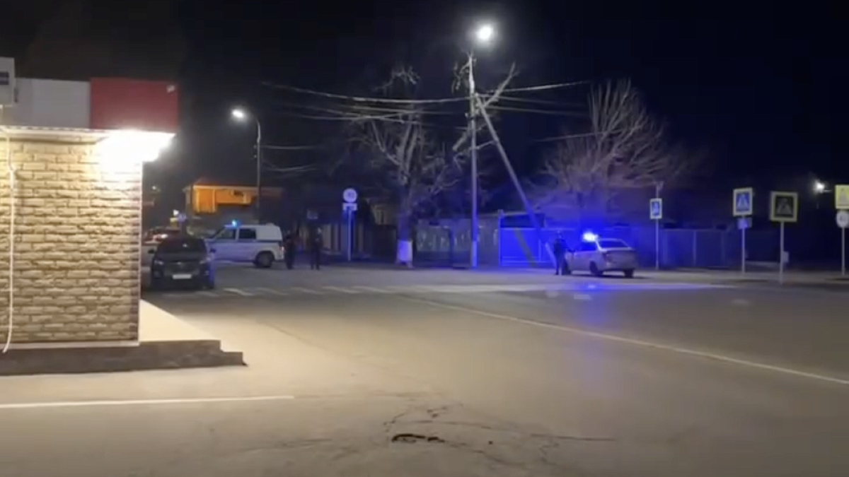    Фото: t.me/sa_gai