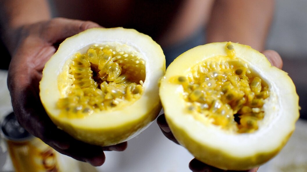    Britta Pedersen/Globallookpress