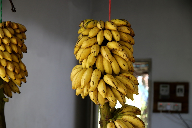    Фото: Maksim Konstantinov/Globallookpress