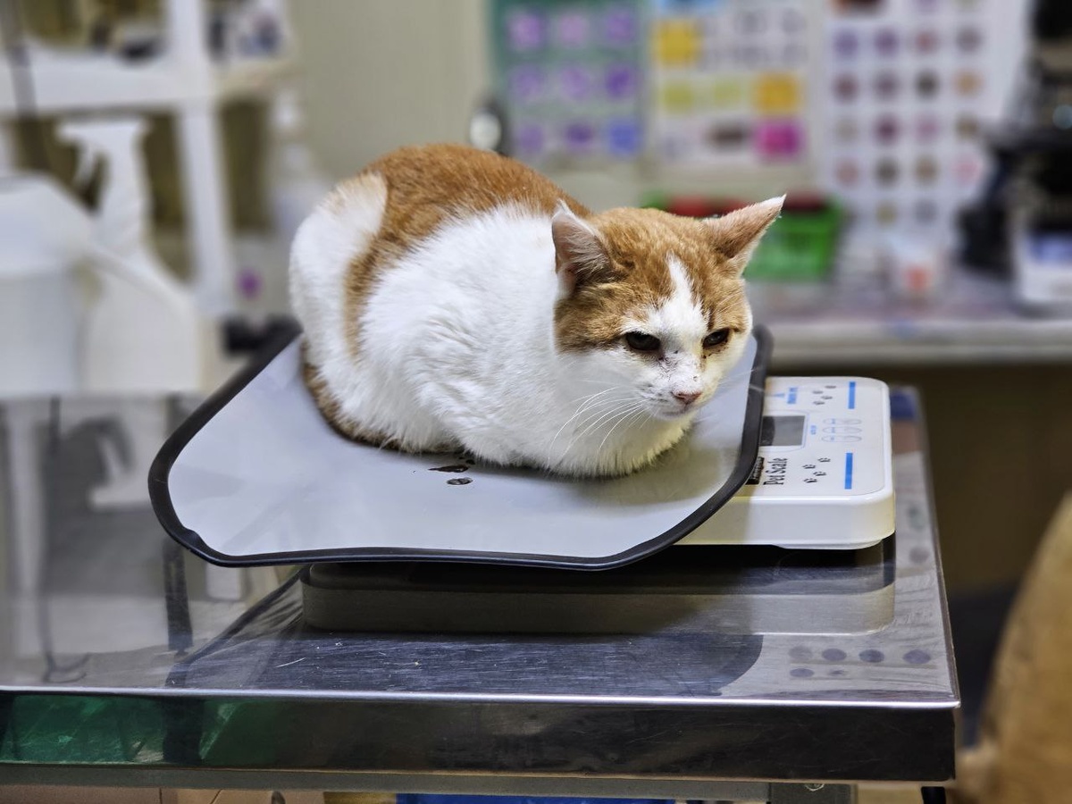 Фото из архива автора