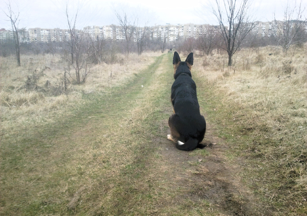 Фото автора