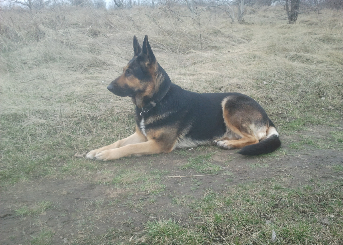 Фото автора