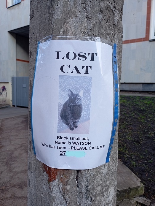 Рига, 6 марта 2025