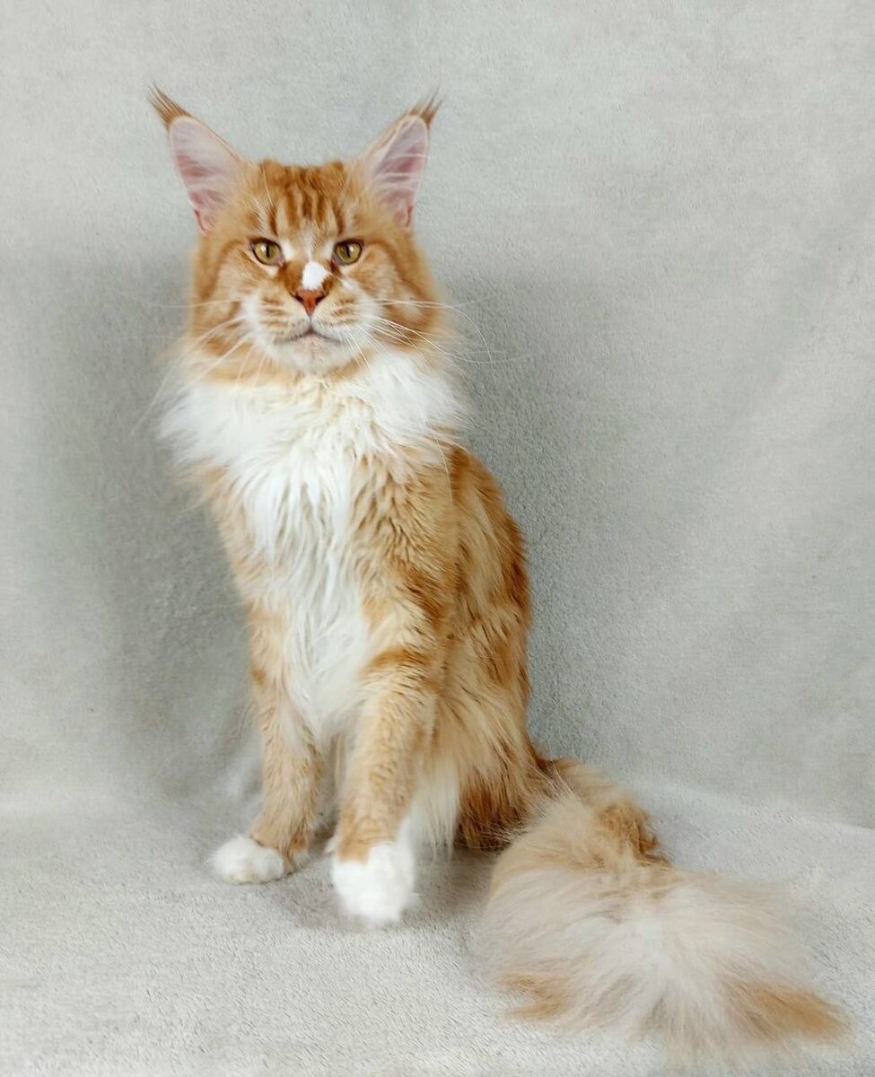 Фото из архива автора