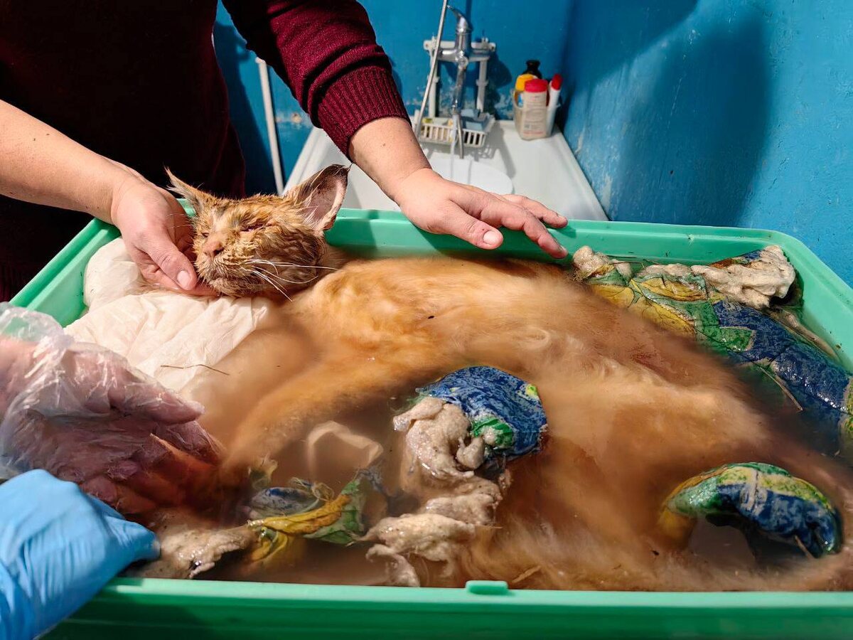 Фото из архива автора