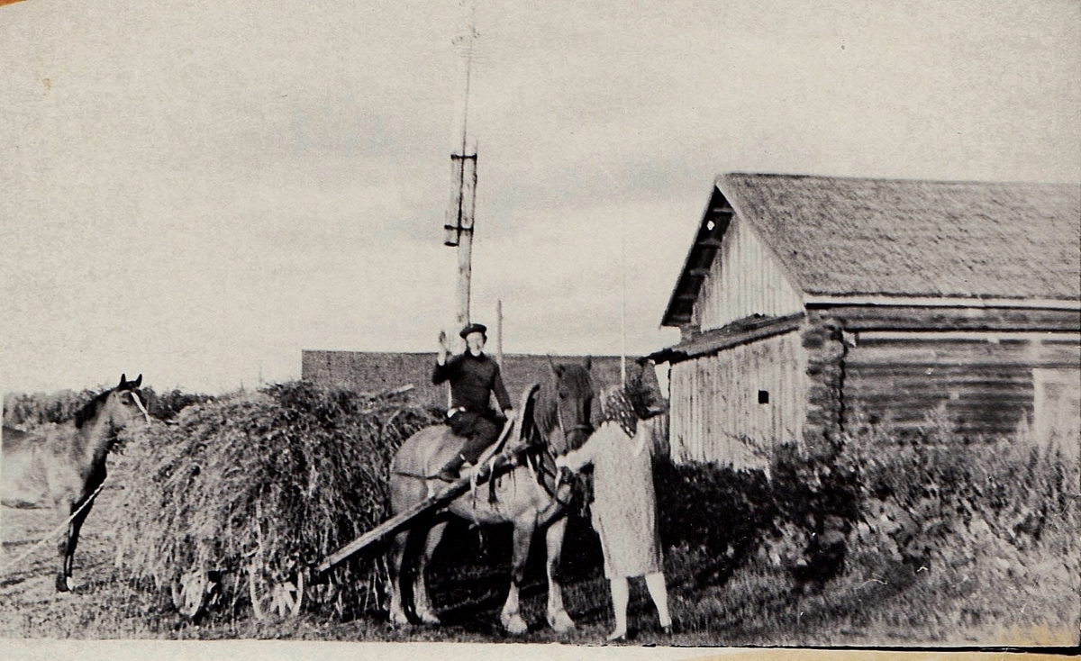 Поселок Желдыбино при Кирпичном заводе, 1970