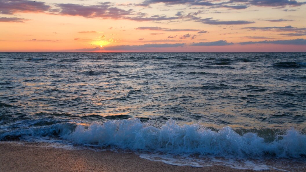    Фото: freepik.com.