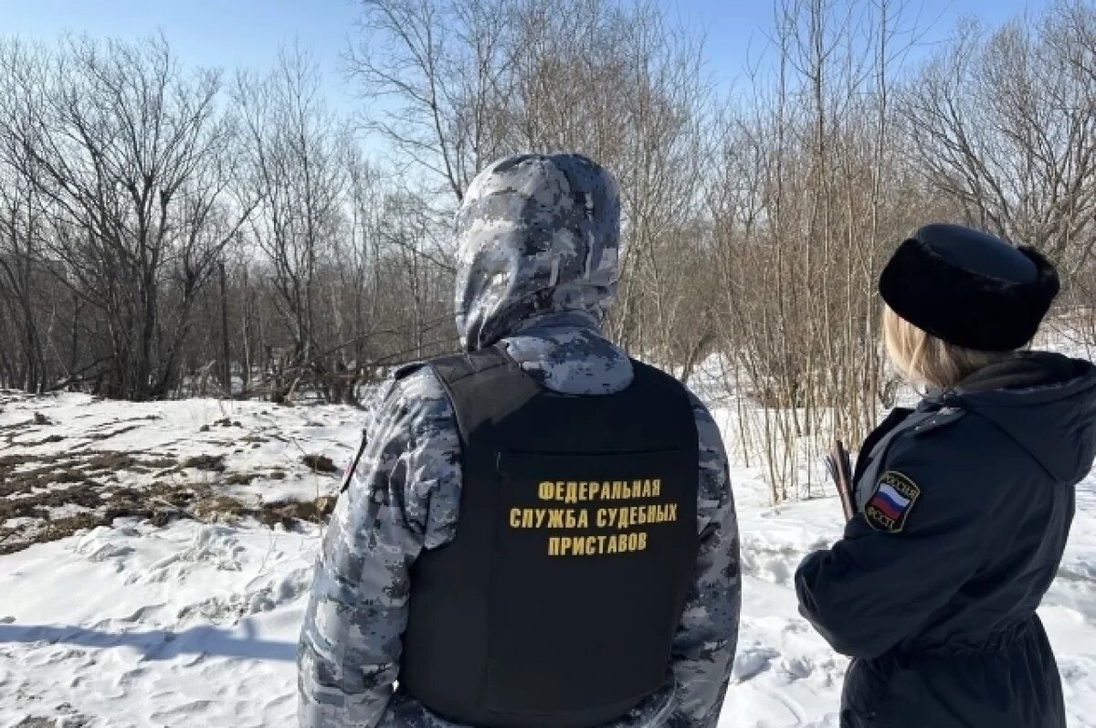    На Камчатке владельца обязали освободить незаконно занятый участок земли