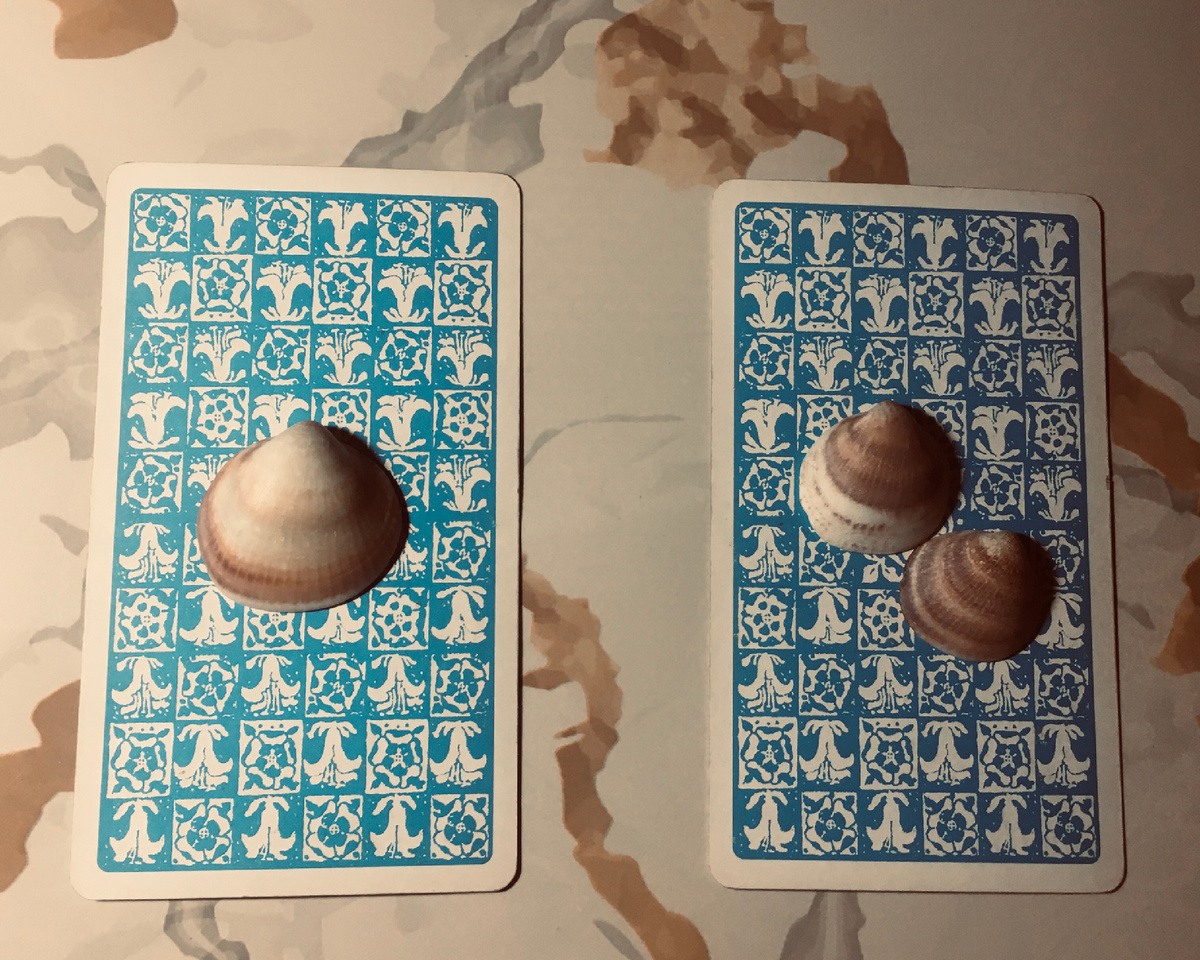 Фото автора. Выбор варианта расклада. 