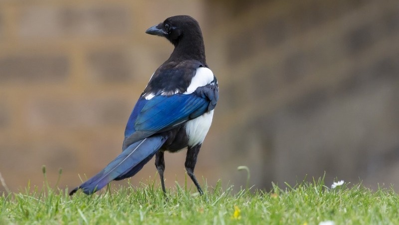 Фото: @wirestock / freepik.com