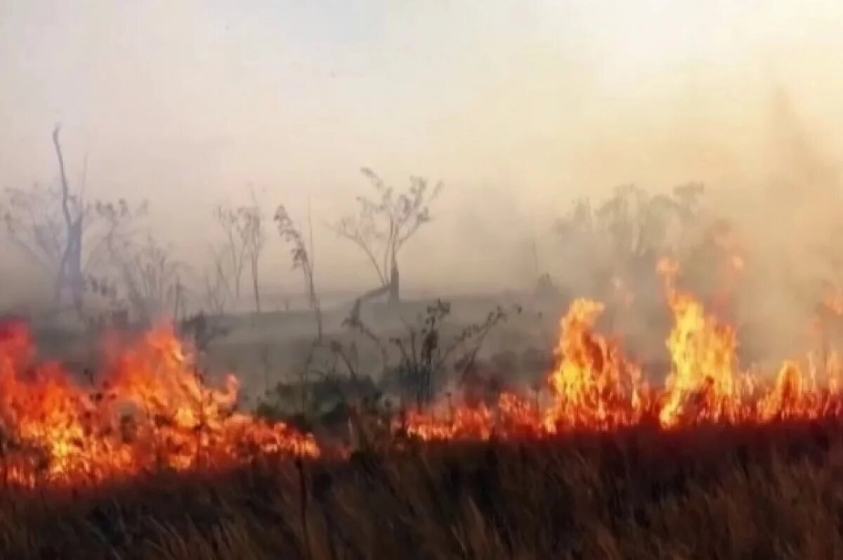    Природный пожар в Приморье уничтожил жилой дом