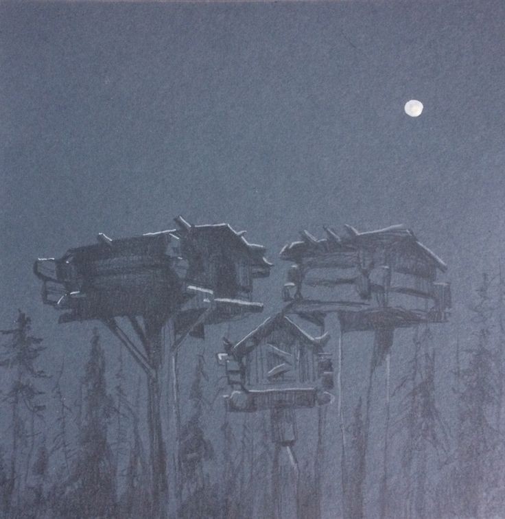 Домовины, рисунок взят из открытого источника.