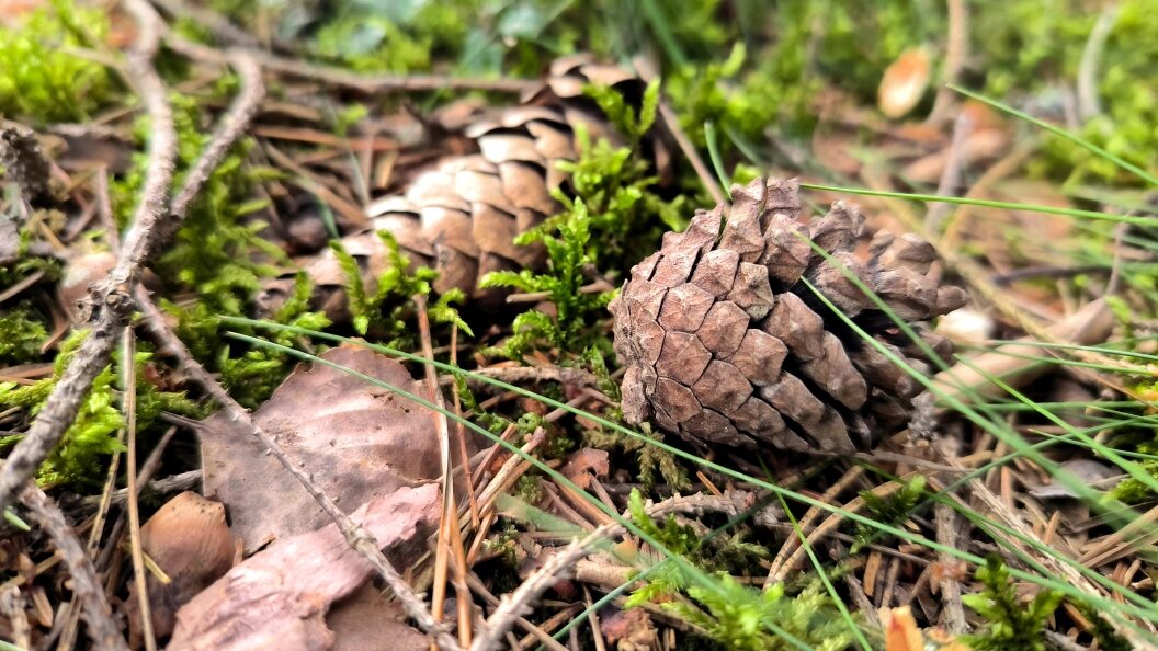    Фото: Maksim Konstantinov/Globallookpress