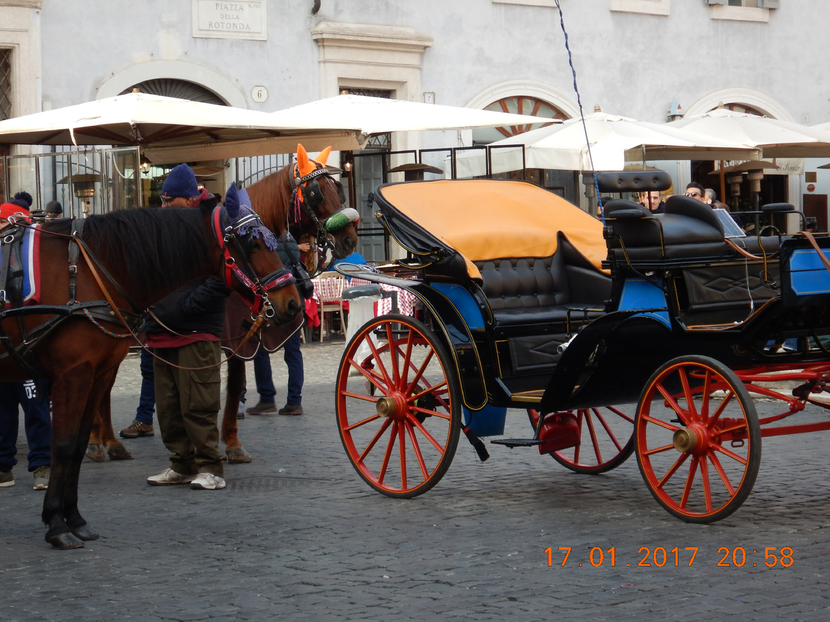 Для туристов есть кабриолеты на конной тяге.