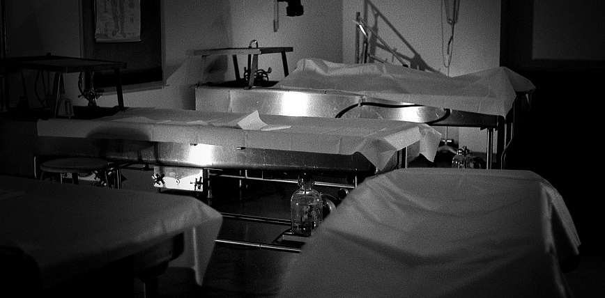 Изображение взято из открытых источников интернета. 