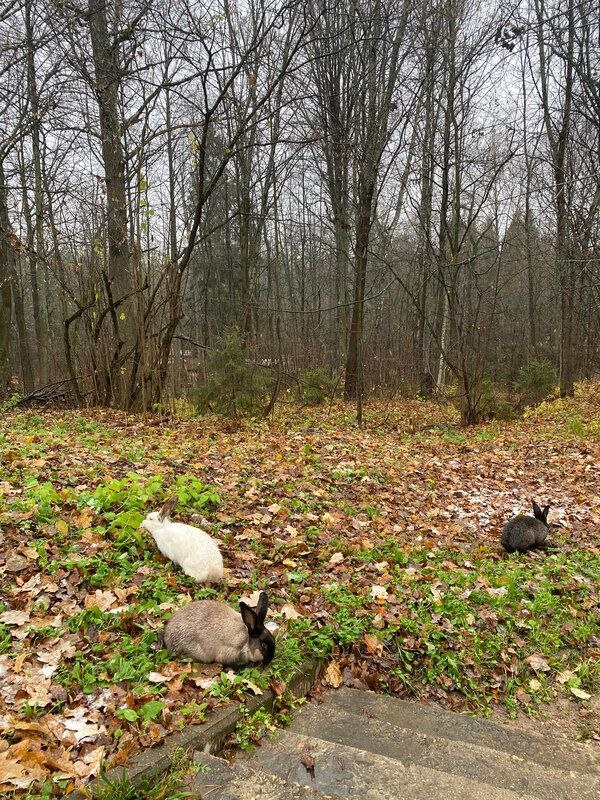 Фото: Александра К, сервис Яндекс Путешествия