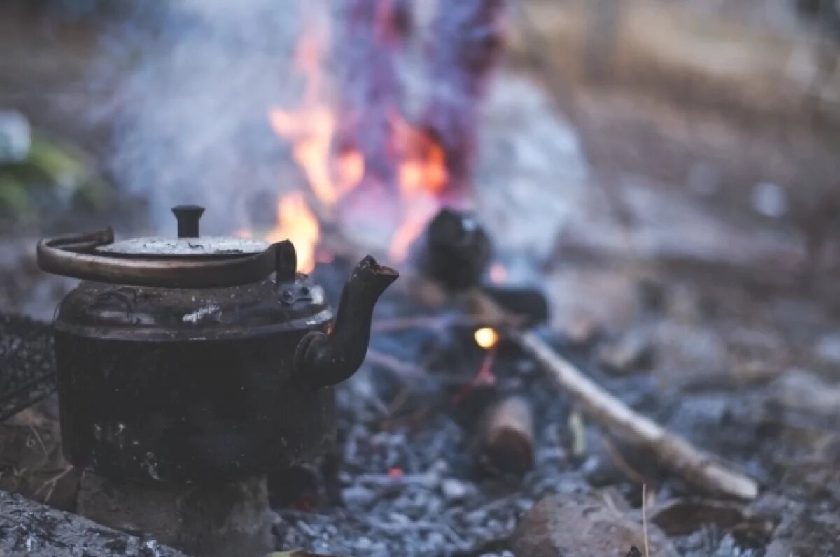    За жарку шашлыков на открытом огне новосибирцам грозят штрафы